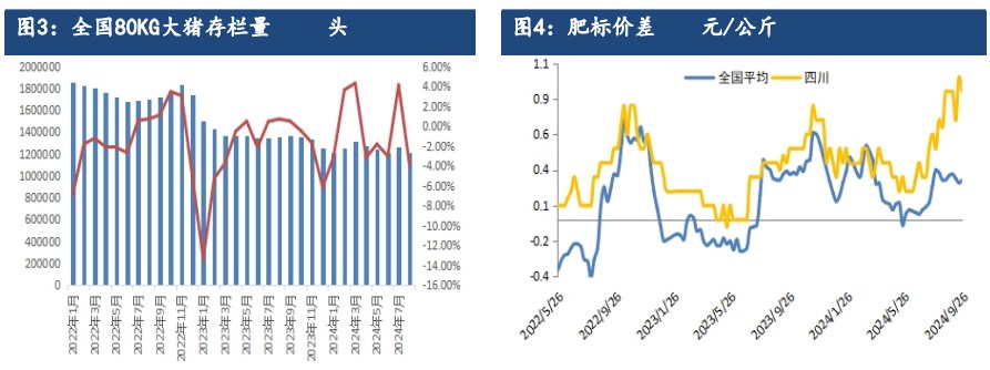 二育群体入场积极性提升 生猪现货价格或止跌反弹