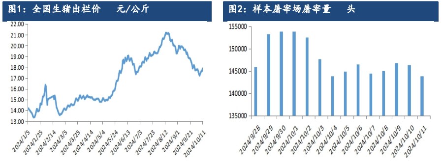 二育群体入场积极性提升 生猪现货价格或止跌反弹