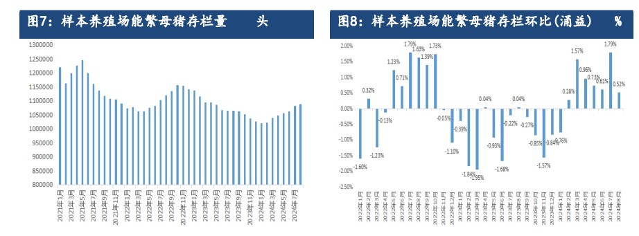 二育群体入场积极性提升 生猪现货价格或止跌反弹