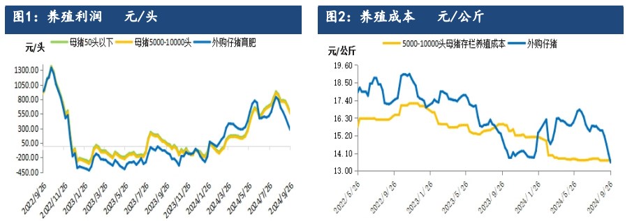 二育群体入场积极性提升 生猪现货价格或止跌反弹