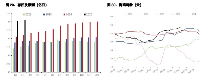 鸡蛋供应呈缓慢增加趋势 生猪弱驱动与低估值博弈