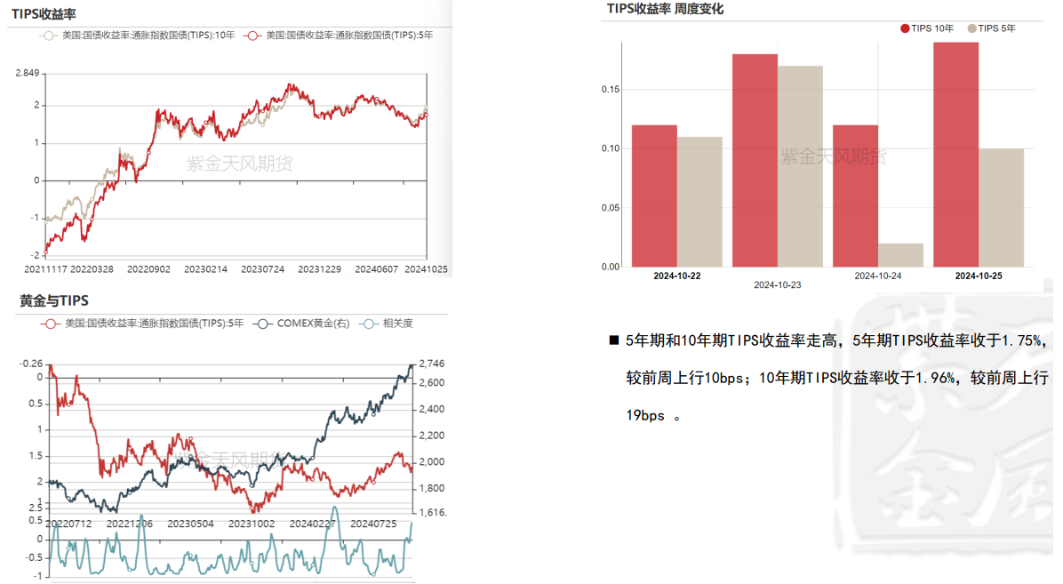 市场等待美国总统选举结果 黄金可能面临小幅下跌