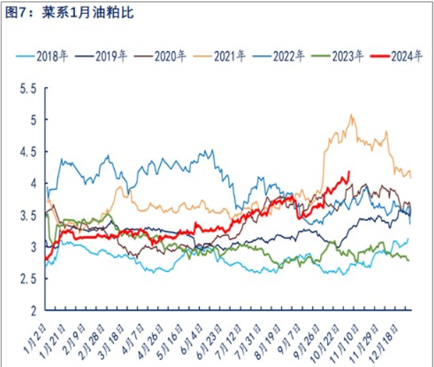 中加关系有缓和迹象 菜籽油贸易升水被部分挤出