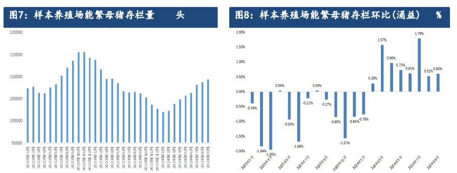 生猪供需格局或有改善 价格或趋稳反弹