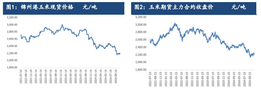 玉米需求有稳中向好倾向 价格或偏强震荡为主