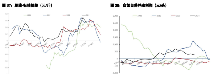 棉花销售利润有所缩减 生猪现货驱动向下