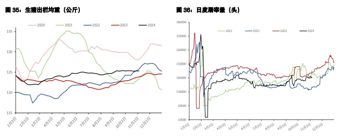 棉花销售利润有所缩减 生猪现货驱动向下