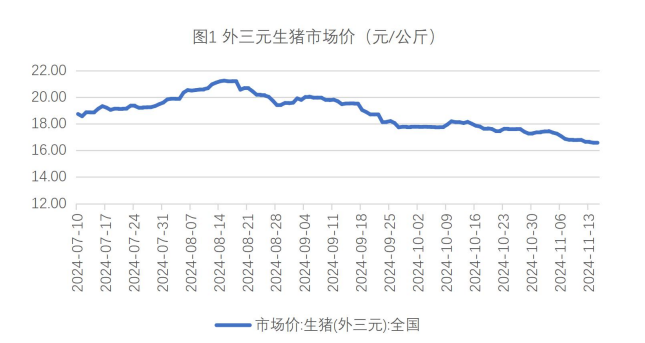 生猪价格缺乏利好支撑 玉米供应端持续施压价格