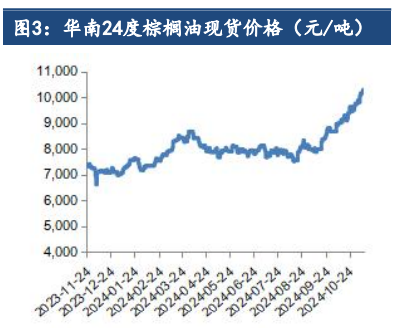 棕榈油是油脂板块焦点 供需偏紧利好价格