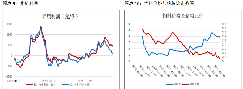 生猪出栏逐步减少 价格回落空间或有限