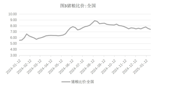生猪供给端压力不断释放 玉米市场购销逐步恢复