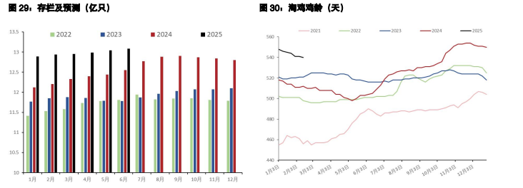 白糖仍处于增产周期 鸡蛋供应呈趋势增加态势