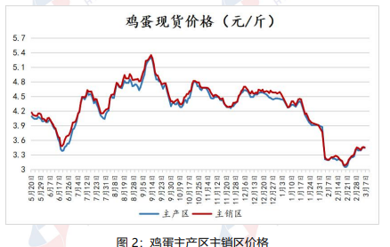 养殖户补栏积极性较高 鸡蛋供应较为充足