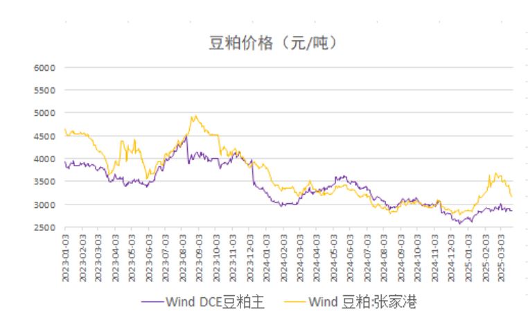 关税之争提振市场情绪 预计豆粕价格冲高回落