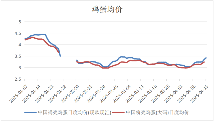 五一备货需求持续发力 鸡蛋价格短期震荡偏强