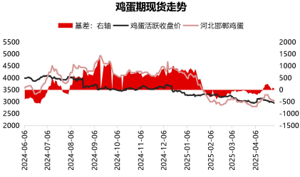 市场对后市信心不足 鸡蛋价格承压回调