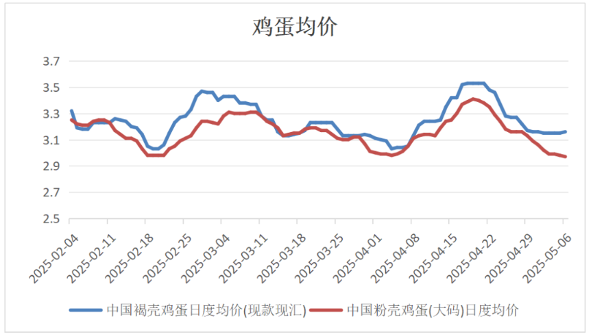 鸡蛋节后开盘大幅度下跌 06合约不确定性仍较高