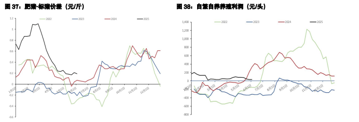 棉花进口窗口基本关闭 生猪现货偏弱近月跟跌