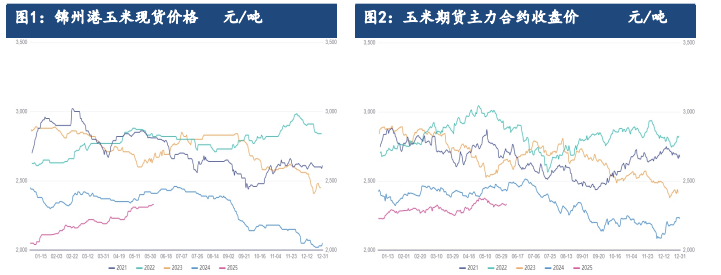 新麦入市收购价格坚挺 玉米期现货看涨情绪受到提振