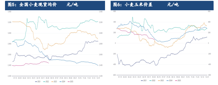 新麦入市收购价格坚挺 玉米期现货看涨情绪受到提振