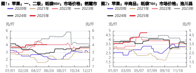 苹果价格短期以稳为主 红枣有止跌企稳迹象