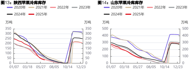 苹果价格短期以稳为主 红枣有止跌企稳迹象