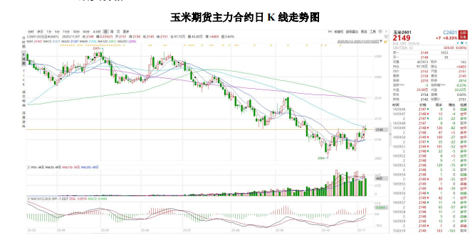 新粮上量与政策托底博弈 玉米价格短期震荡运行