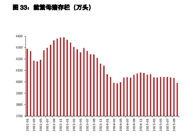 棉花消化国内丰产利空 生猪下游或存备货预期