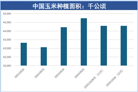 2026年玉米行情展望：关注紧平衡下的区间博弈