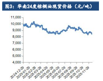 棕榈油库存水平高企 价格涨势难以持续