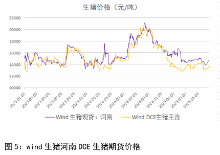 元旦前有备货需求提振 生猪短期偏强震荡
