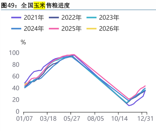 玉米期价呈现震荡偏强走势 市场对于春节行情仍有期待