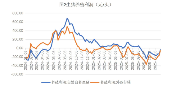 生猪终端消费有一定支撑 玉米价格震荡运行为主