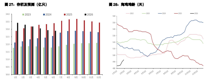 白糖增产利空基本兑现 鸡蛋短期基本面有所好转