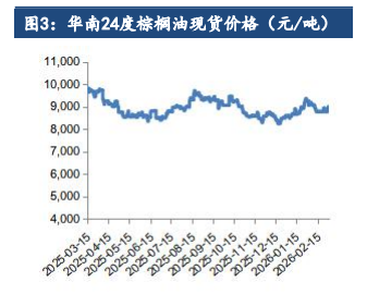 中东冲突继续主导市场 棕榈油领涨油脂板块