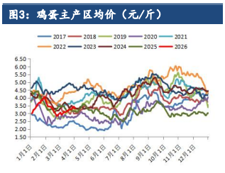 市场库存消化良好 鸡蛋价格低位反弹