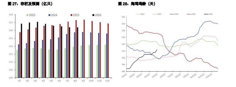白糖减产预期支撑价格 鸡蛋现货坚挺支撑盘面