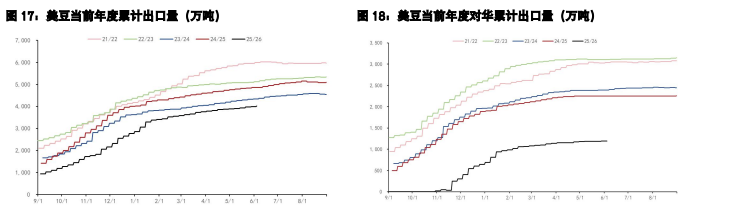 豆粕利多预期暂无佐证 棕榈油双重远期利好支撑