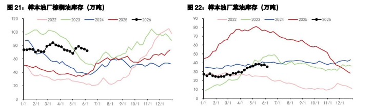 豆粕利多预期暂无佐证 棕榈油双重远期利好支撑