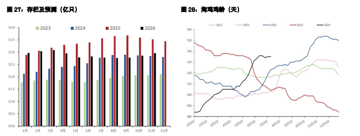 白糖短期供应宽松承压 鸡蛋供给偏紧估值修复