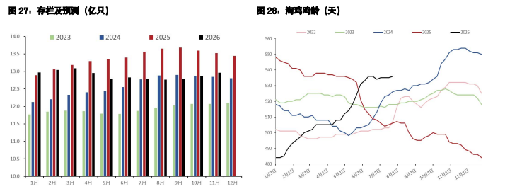 白糖底部夯实上涨看外盘 鸡蛋现货冲高动能消退