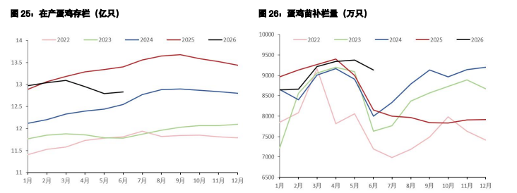 白糖底部夯实上涨看外盘 鸡蛋现货冲高动能消退