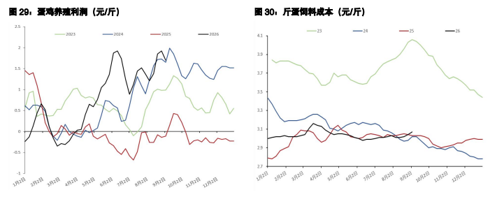 白糖呈现外强内弱格局 鸡蛋期现分歧持续显现