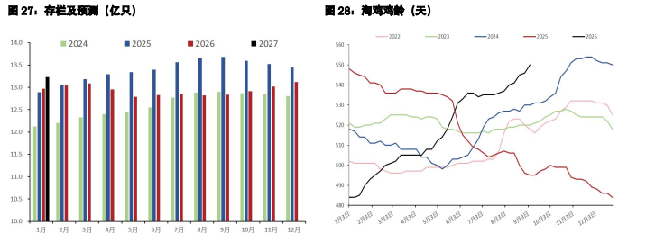 白糖呈现外强内弱格局 鸡蛋期现分歧持续显现