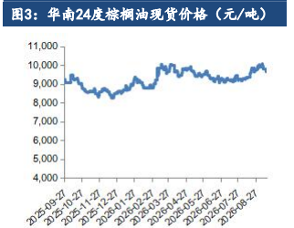 油脂高位进入调整阶段 后市看多逻辑未破坏