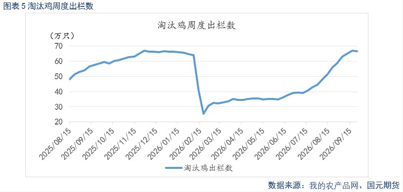鸡蛋季报：供需转向阶段性宽松 蛋价中枢环比下移