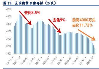 冻品库存压力仍大 生猪延续震荡磨底