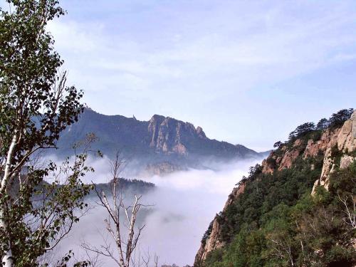 河北雾灵山自然保护区旅游攻略_河北雾灵山自