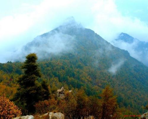 河北雾灵山自然保护区旅游攻略_河北雾灵山自