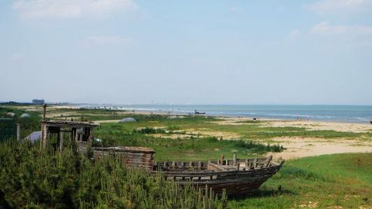 日照海滨国家森林公园旅游攻略_日照海滨国家